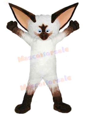 Cat mascot costume