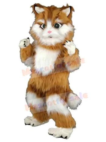 Cat mascot costume
