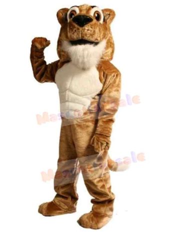 Cat mascot costume