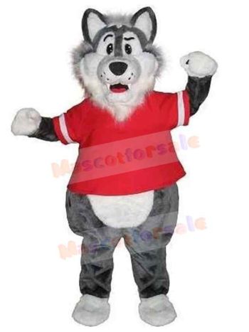 Wolf mascot costume