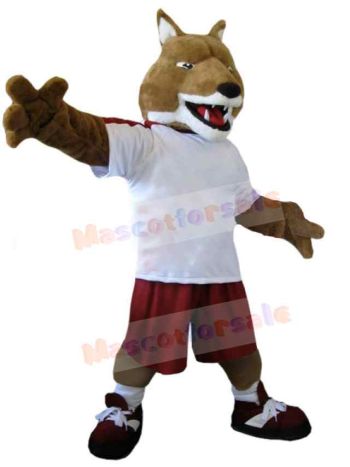Wolf mascot costume