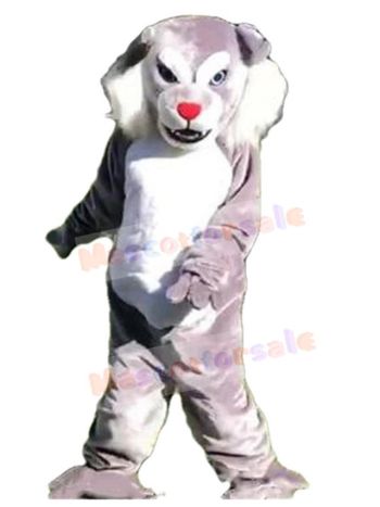 Wolf mascot costume