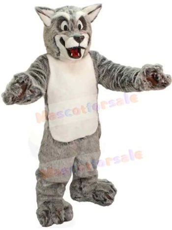 Wolf mascot costume