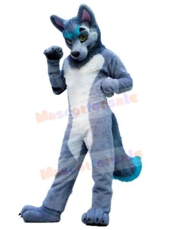 Wolf mascot costume