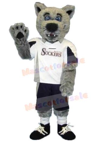 Wolf mascot costume