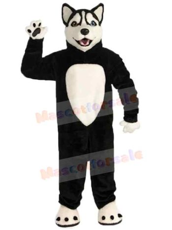 Wolf mascot costume