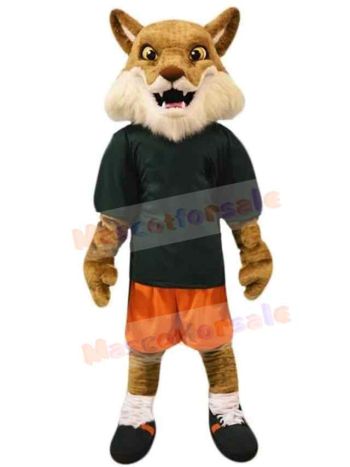 Wolf mascot costume