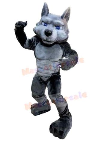 Wolf mascot costume