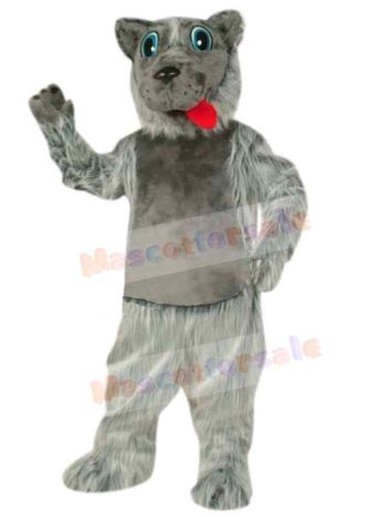 Wolf mascot costume
