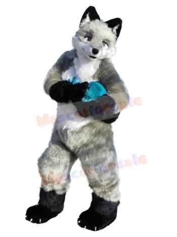 Wolf mascot costume