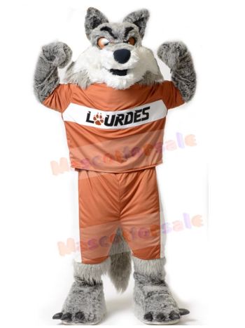 Wolf mascot costume