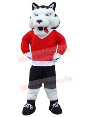 Wolf mascot costume