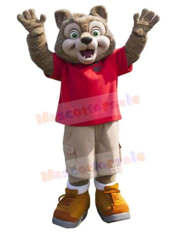 Wolf mascot costume