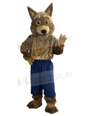Coyote mascot costume