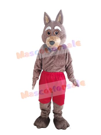 Coyote mascot costume