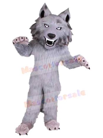 Wolf mascot costume