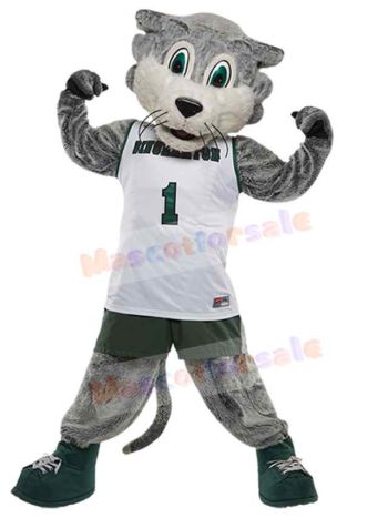 Wolf mascot costume