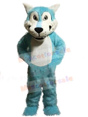Wolf mascot costume