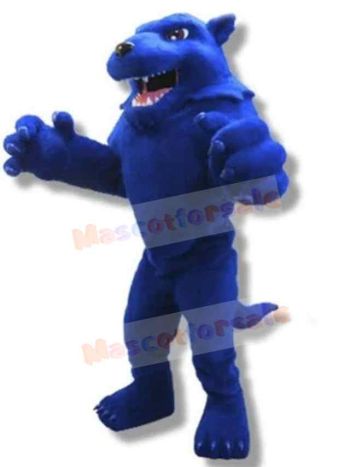 Wolf mascot costume