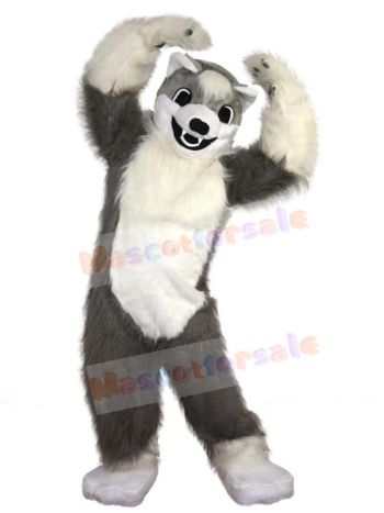 Wolf mascot costume