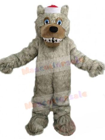 Wolf mascot costume