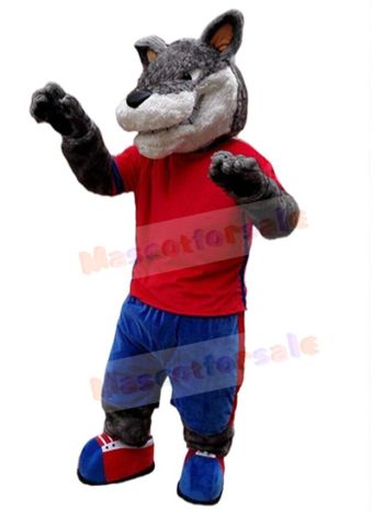 Wolf mascot costume