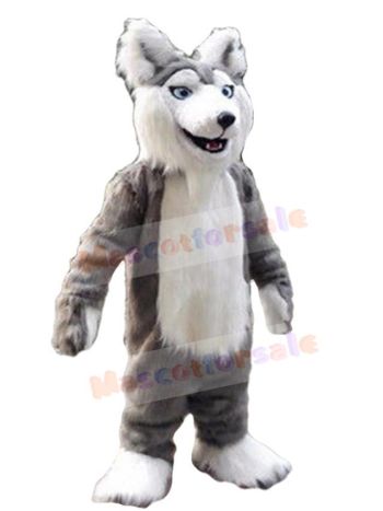 Wolf mascot costume