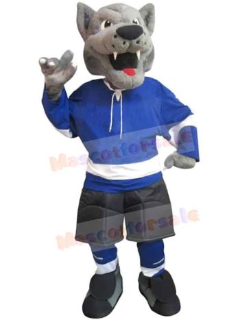 Wolf mascot costume