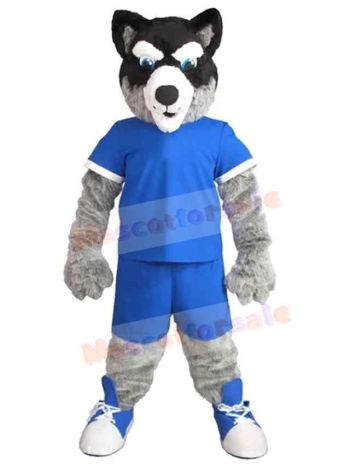 Wolf mascot costume