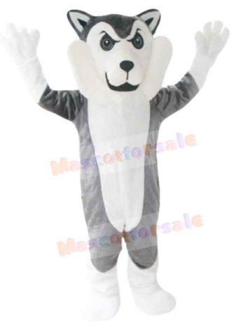 Wolf mascot costume