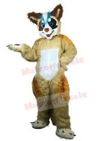 Wolf mascot costume