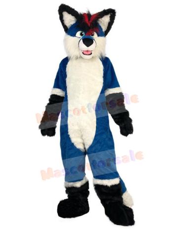 Wolf mascot costume