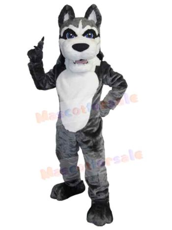 Wolf mascot costume