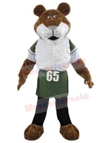 Tiger mascot costume