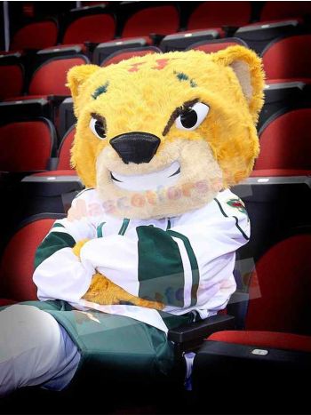 Tiger mascot costume