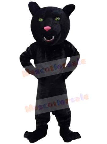 Panther mascot costume