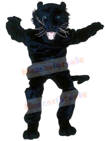 Panther mascot costume