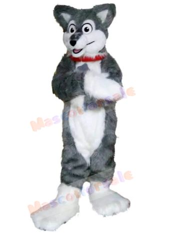 Dog mascot costume