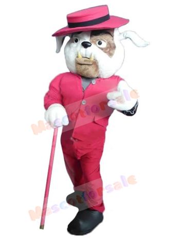 Dog mascot costume