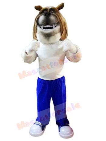 Dog mascot costume