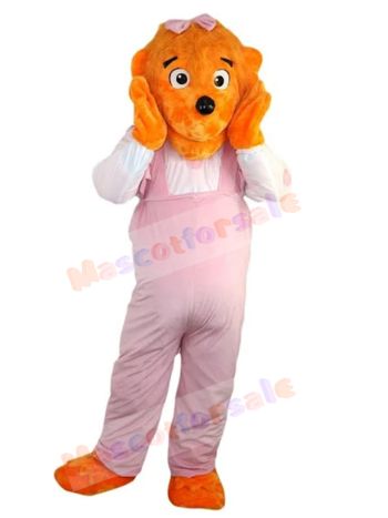 bear mascot costume