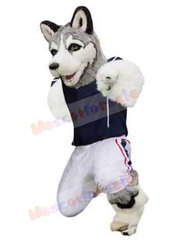 Dog mascot costume