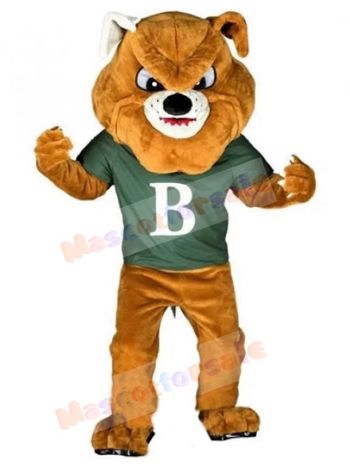 dog mascot costume