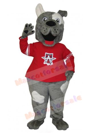 dog mascot costume
