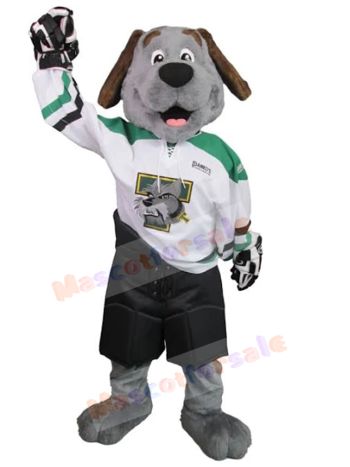 dog mascot costume