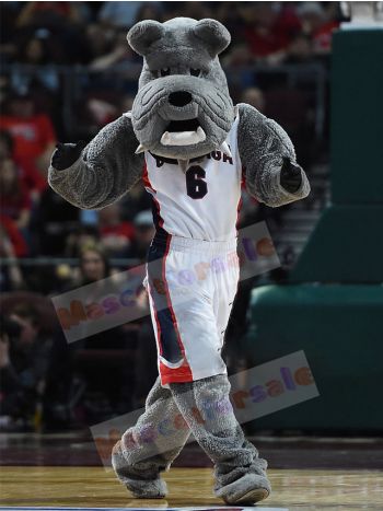 dog mascot costume