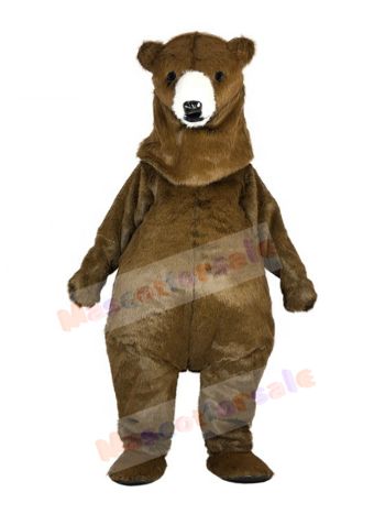 bear mascot costume