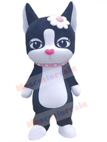 cat mascot costume