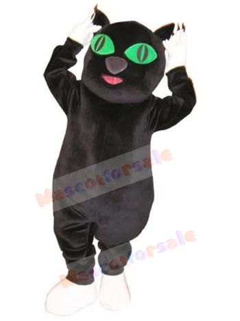 cat mascot costume