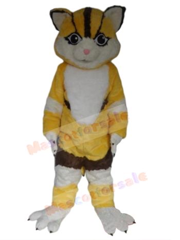 cat mascot costume